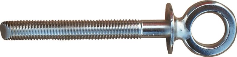 BEVESTIGINGSBOUT RVS MET OOG Ø 12X140/80 MM